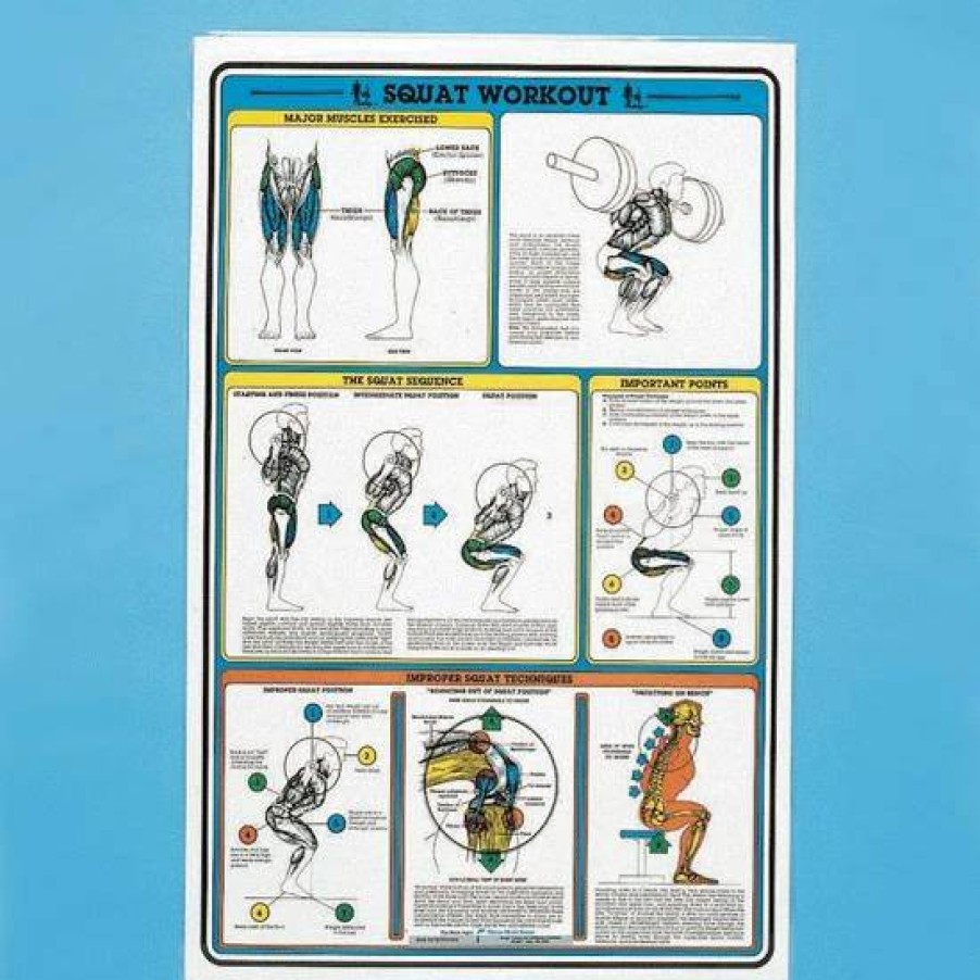 Motor Skills * | Self Instruction Weight Training Poster Squat Exercises